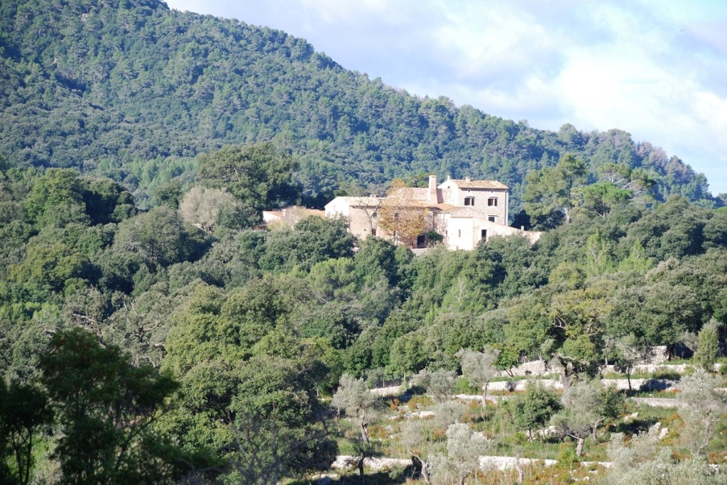 Excursió a So n'Amer