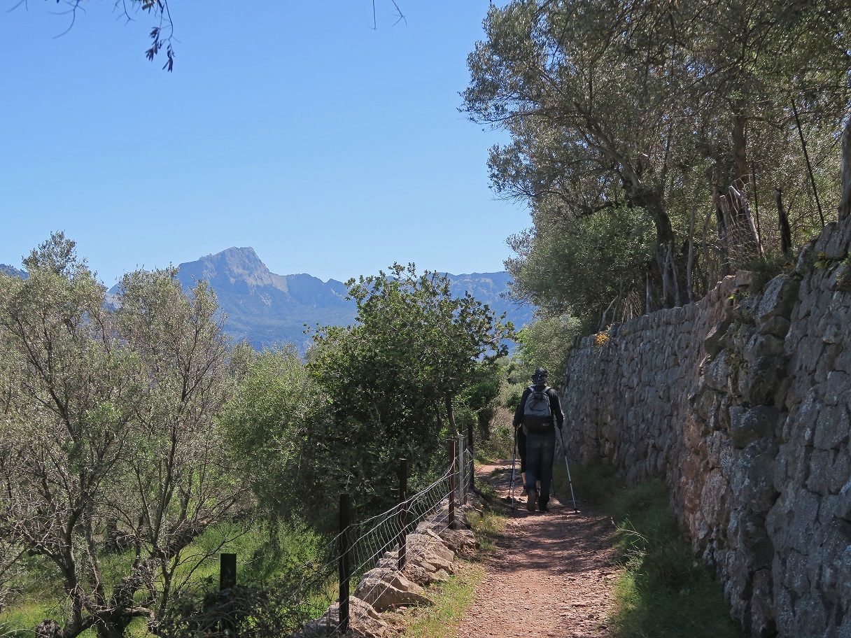 Un camno por el Valle de Sóller