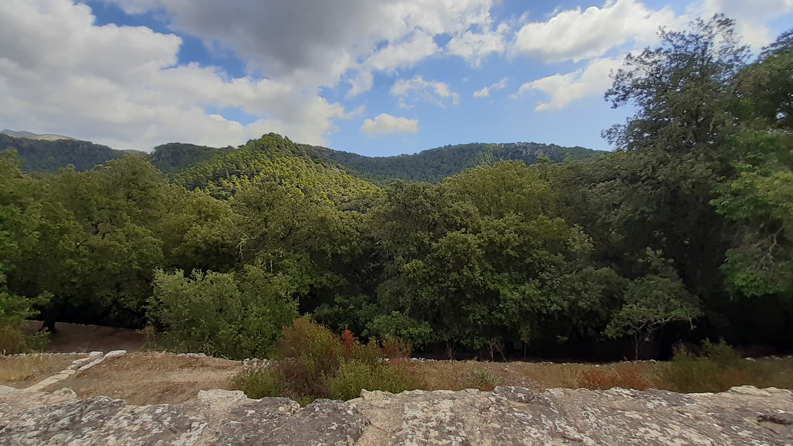 Paisaje de la Serra de Tramuntana