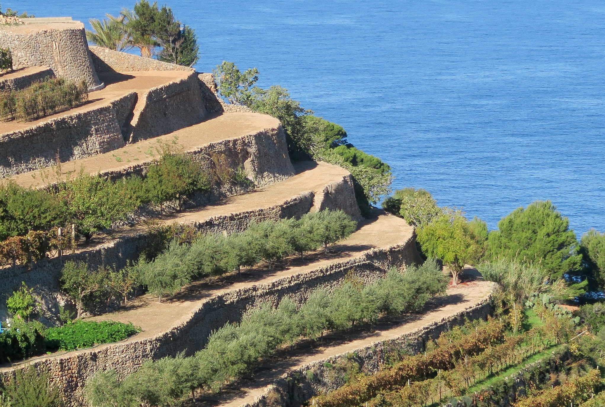 Marges de pedra en sec a Banyalbufar