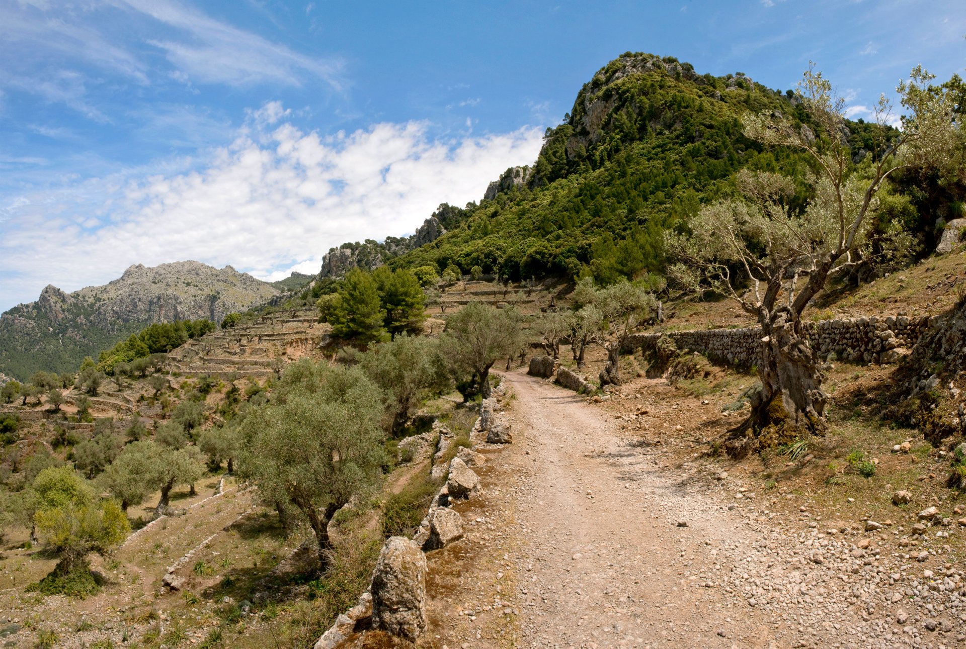 Un camí de la Serra de Tramuntana.