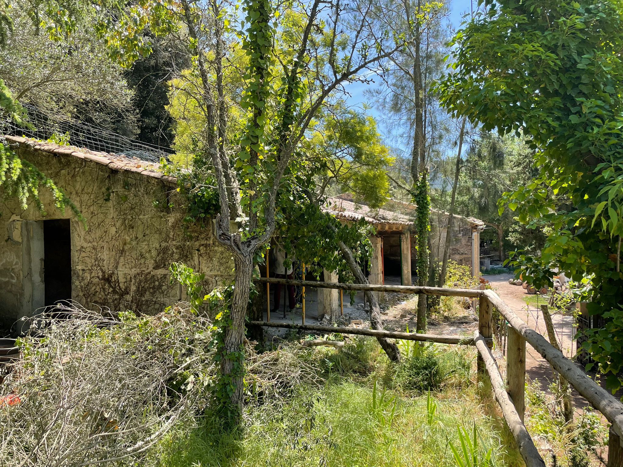 Visita al projecte de l'Aula Natura del Santuari de Lluc.