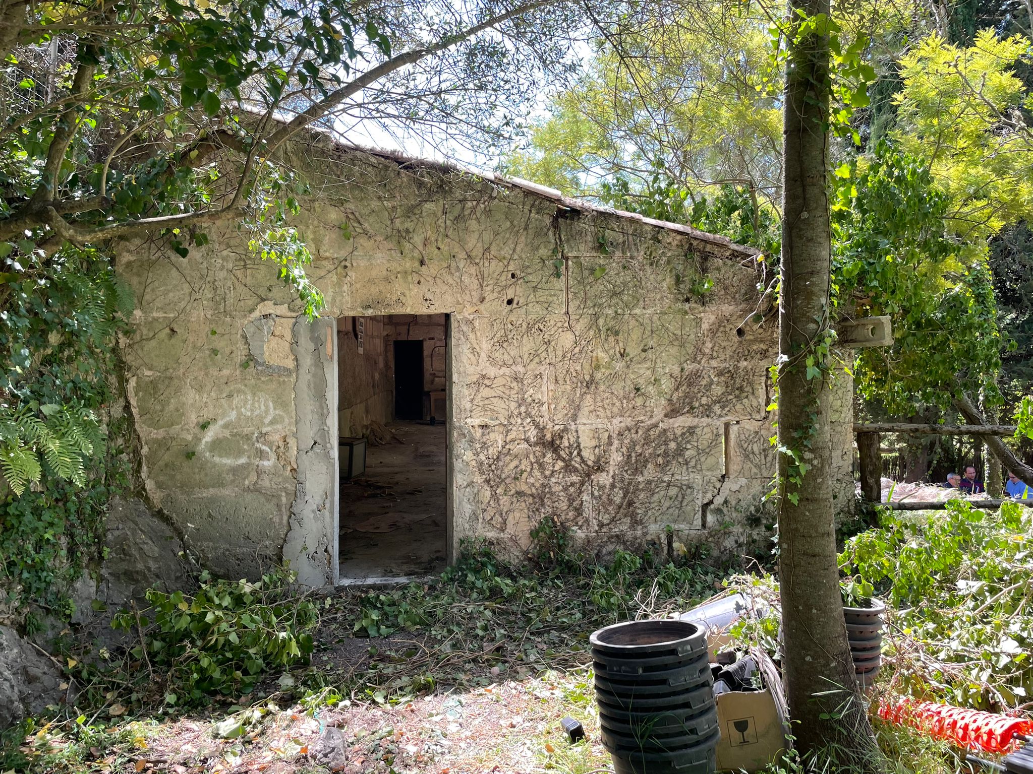 Visita al proyecto del Aula Natura del Santuario de Lluc.