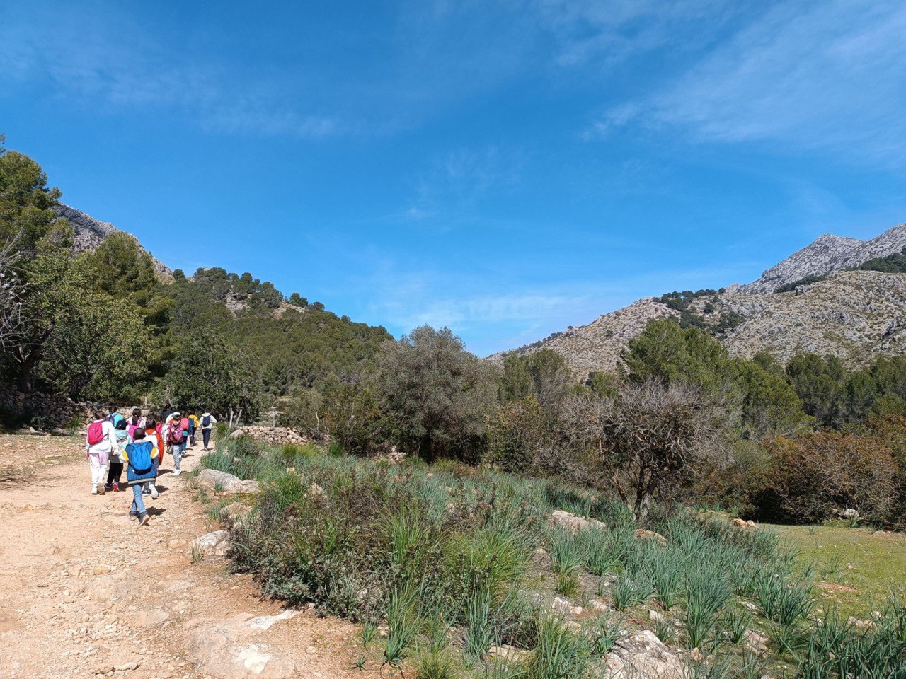 Imatge de l'activitat Una nit a la Serra.