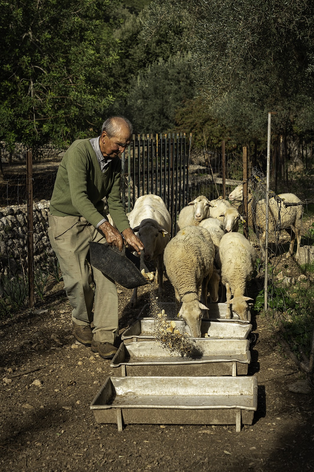 Primer premi de la categoria productes i productors: Es ramader, de Marc Marco Ripoll.