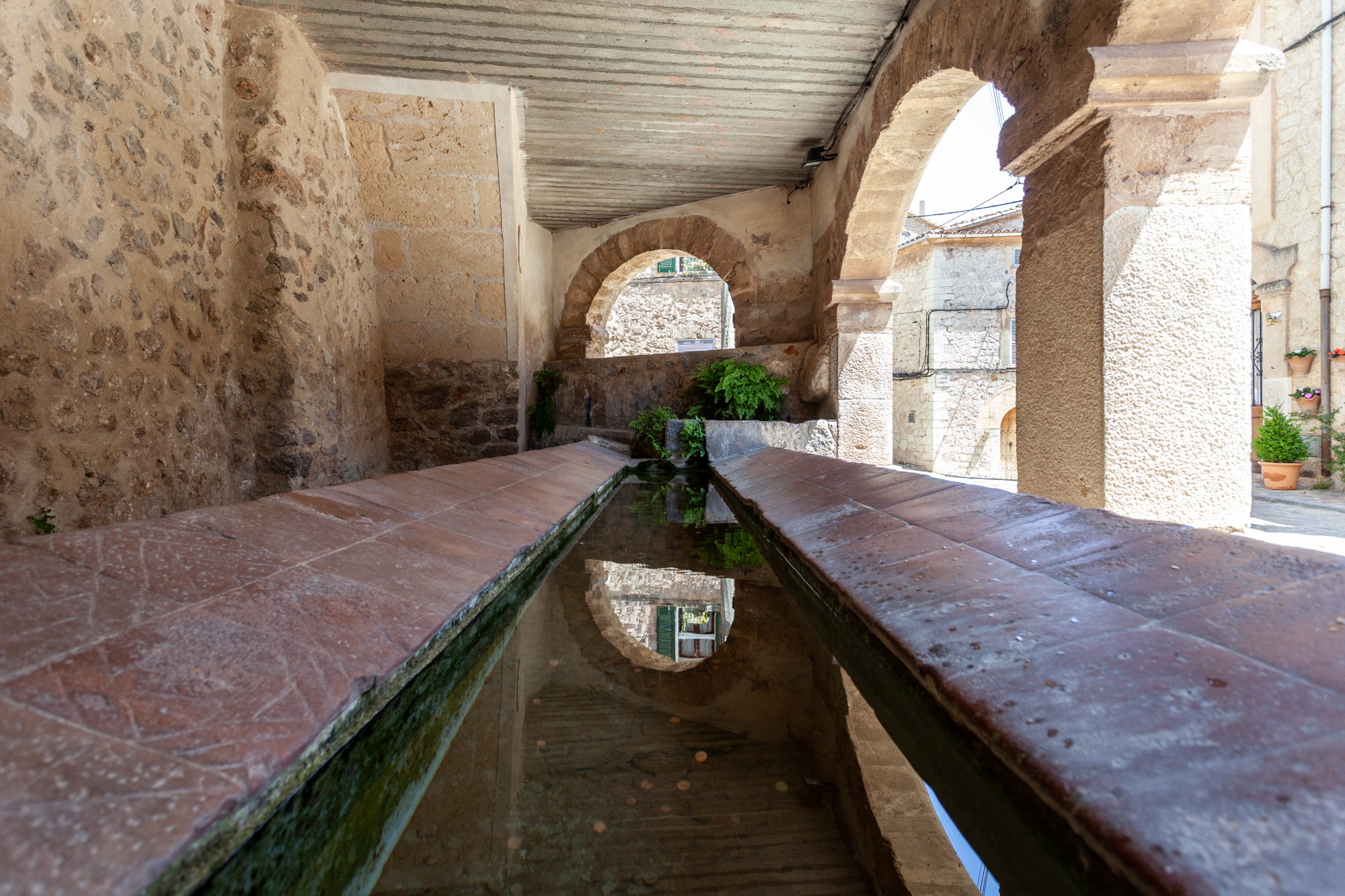 Un rentador a Valldemossa. 