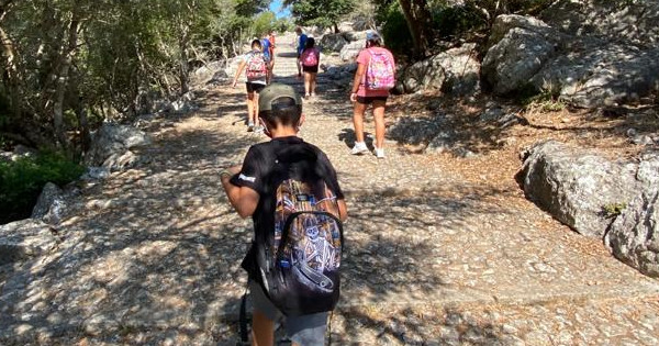 Los centros educativos de Mallorca ya pueden solicitar el servicio de transporte gratuito a la Serra de Tramuntana para este nuevo curso escolar.