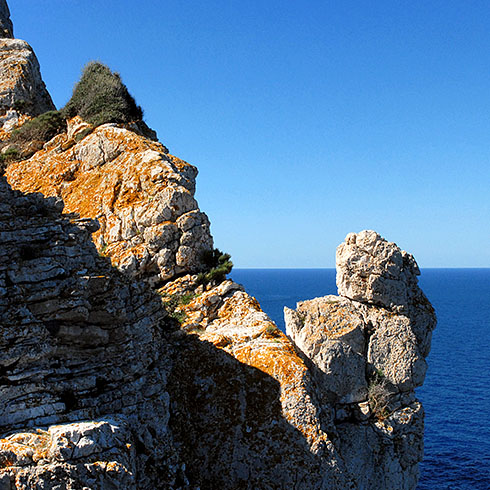 The cliffs, near Coll Roig, where this lichen can be found. © Photo: Gabriel Lacomba