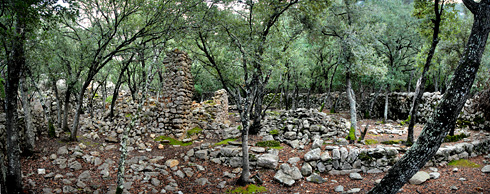 Las ruinas de la antigua ermita dedicada a San Pablo y San Antonio (Ses Ermites Velles) en medio del bosque © Foto: Gabriel Lacomba