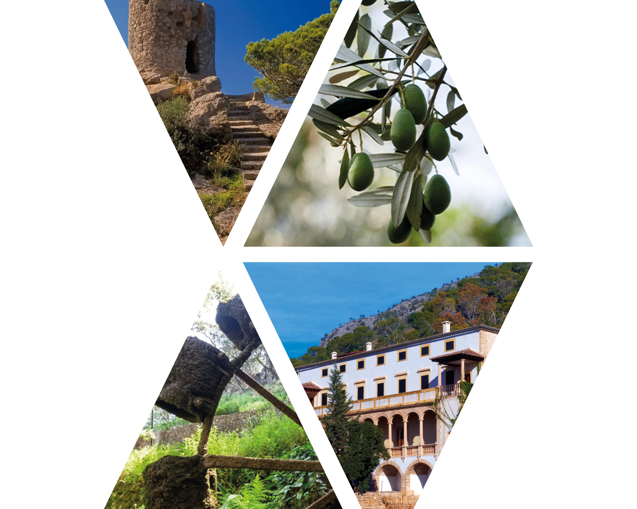 II Edition Serra de Tramuntana Research Awards