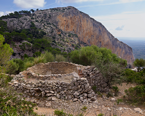 Forns de calç