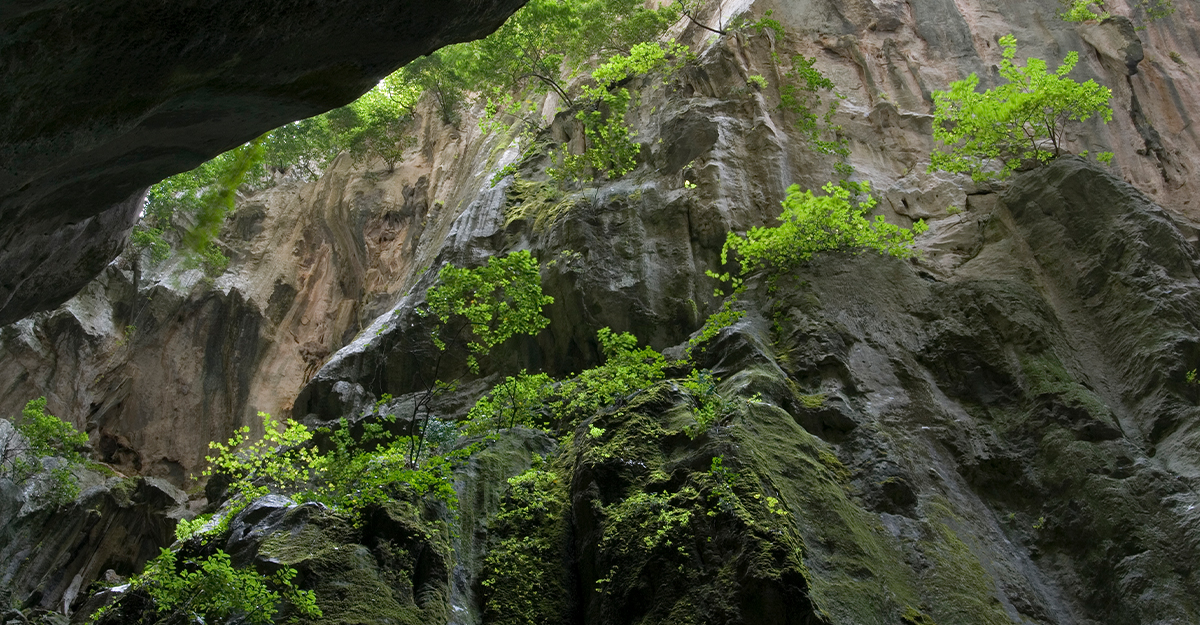 Torrent de Pareis