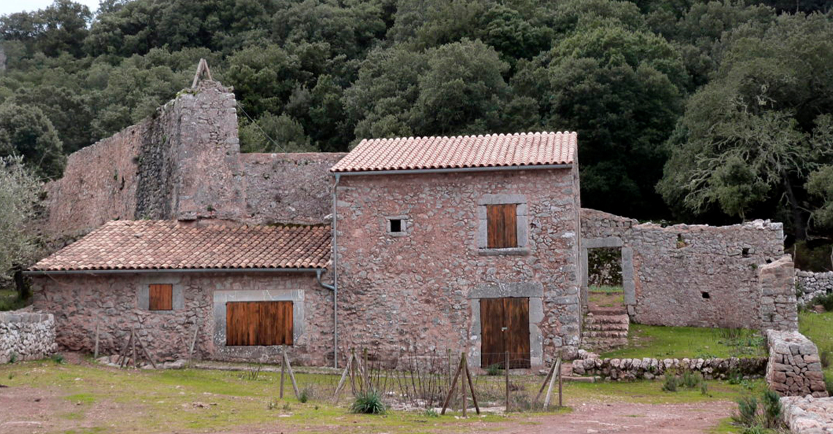 El monestir de Lluc i Son Amer