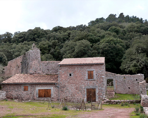 El monasterio de Lluc y Son Amer