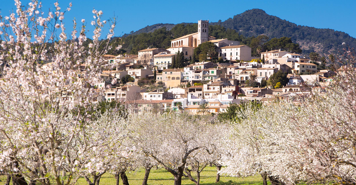 Moscari, Binibona i Caimari