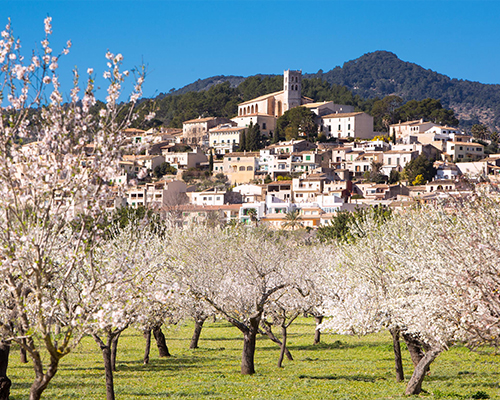 Moscari, Binibona y Caimari